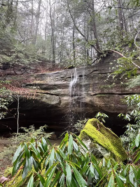 100 Click Rd, Olive Hill, KY 41164