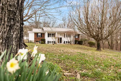 1387 Pattie Ridge Rd, Dunnville, KY 42528