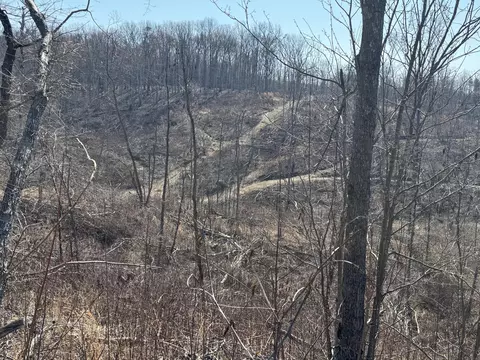 000 N Ky 830, Corbin, KY 40701 photo 6