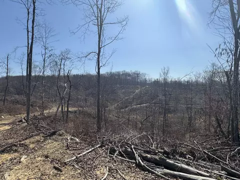 000 N Ky 830, Corbin, KY 40701 photo 5