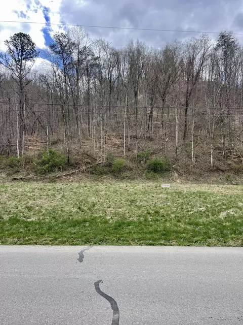 1847 Ratfliff Creek Rd, Pikeville, KY 41501