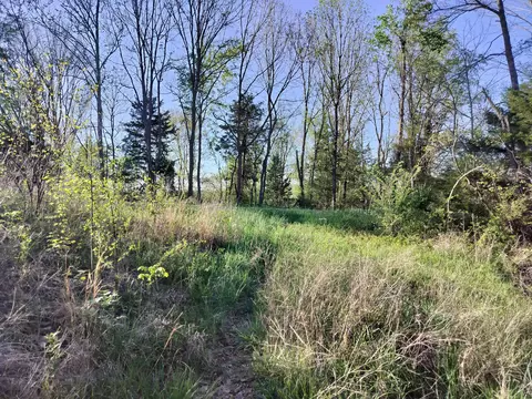 View/Area - 517 Patterson Rd, Yosemite, KY 42566 photo 3 of 3