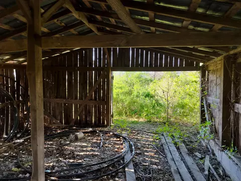 Other - 517 Patterson Rd, Yosemite, KY 42566 photo 8 of 8