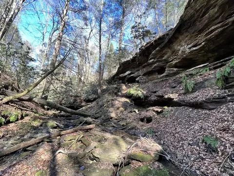 1 Reed Hurt Rd, Campton, KY 41301 photo 3