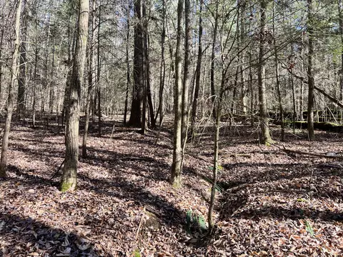 1 Reed Hurt Rd, Campton, KY 41301 photo 8