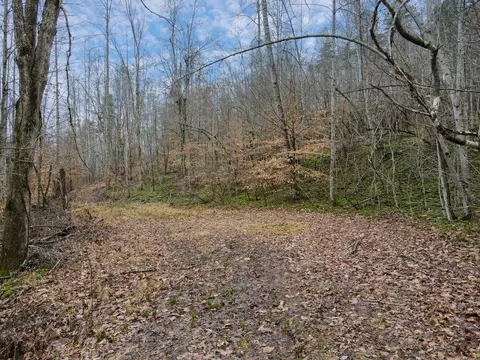 1737 High Rock Rd # B, Stanton, KY 40380
