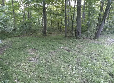 1237 High Rock Rd # G, Stanton, KY 40380 photo 3