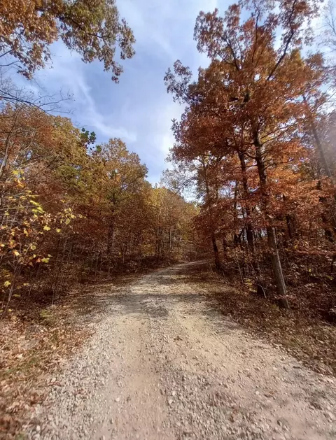 1237 High Rock Rd # E, Stanton, KY 40380 photo 4