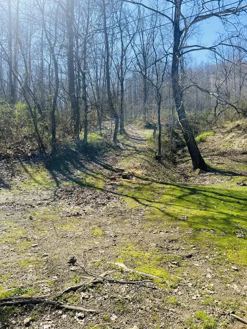 0000 S Hwy 11, Manchester, KY 40962