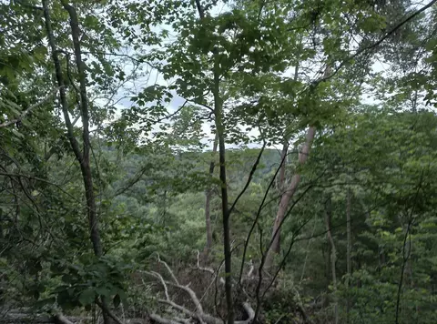1737 High Rock Rd # E, Stanton, KY 40380 photo 6