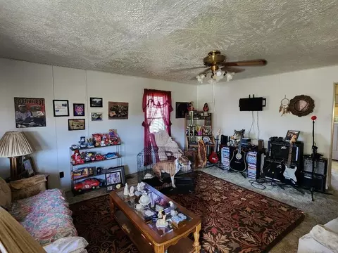 76 E Antioch Ave, Burnside, KY 42519 photo 12