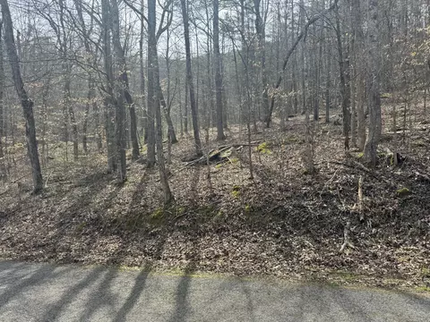 9999 Ryans Ck Rd, Williamsburg, KY 40769