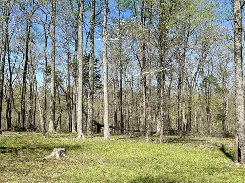 825 Cedar Pointe Dr, Somerset, KY 42501