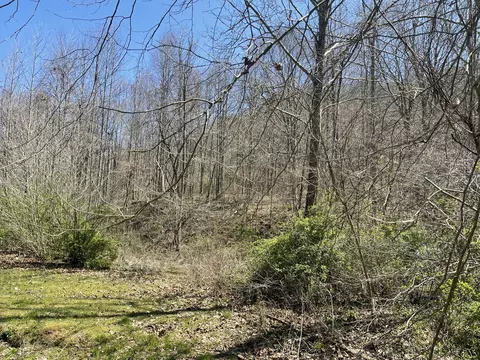 9999 Brices Creek Rd, Flat Lick, KY 40935