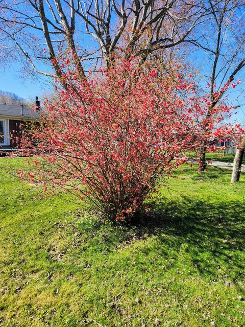 162 E Railroad St, Stanton, KY 40380 photo 22
