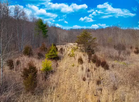 00 Covered Bridge Rd, Wallingford, KY 41093