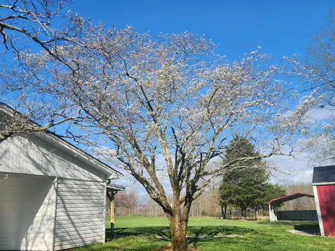 Exterior - 990 Estesburg Rd, Eubank, KY 42567 photo 7 of 16