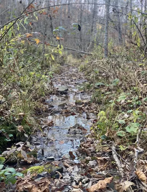 Tract #2 High Knob Ridge, Annville, KY 40402