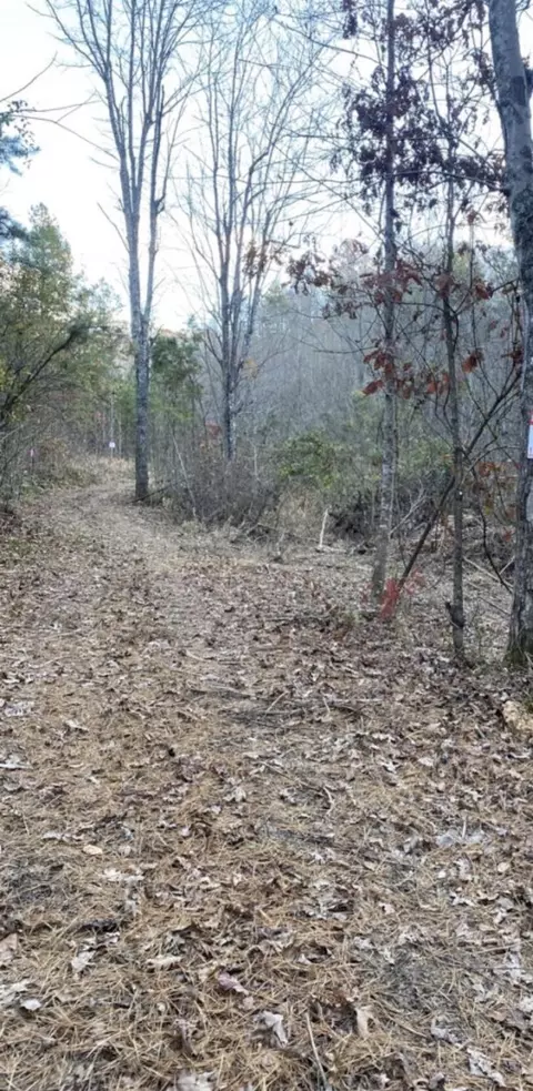 Tract #3 High Knob Ridge, Annville, KY 40402