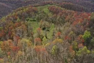 tbd Ky-437 Hwy, West Liberty, KY 41472