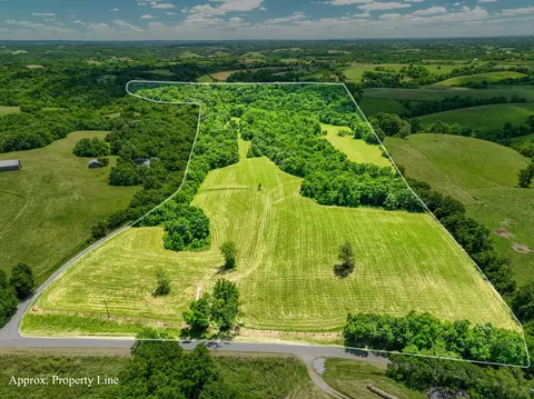 0 Mt Zion Upper Lick Rd, Carlisle, KY 40311