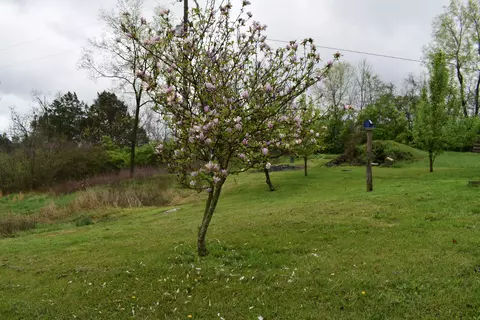 866 Mccouns Ferry Rd, Salvisa, KY 40372
