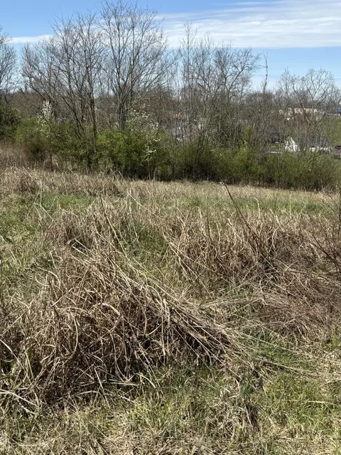 225 Connie Ln, Winchester, KY 40391