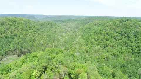316 Harris School Rd, Irvine, KY 40336
