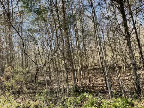 lot Apt 1 Hubble Acres, Eubank, KY 42567 photo 7