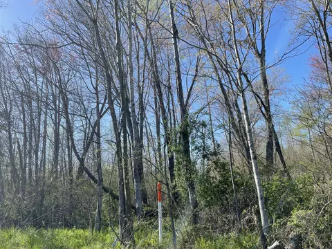 lot Apt 1 Hubble Acres, Eubank, KY 42567 photo 4