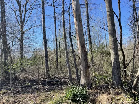 lot Apt 1 Hubble Acres, Eubank, KY 42567 photo 3