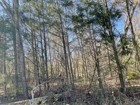 lot Apt 1 Hubble Acres, Eubank, KY 42567 photo 6