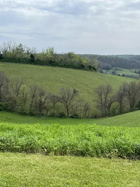 346 Oscar Ray Rd, Lancaster, KY 40444