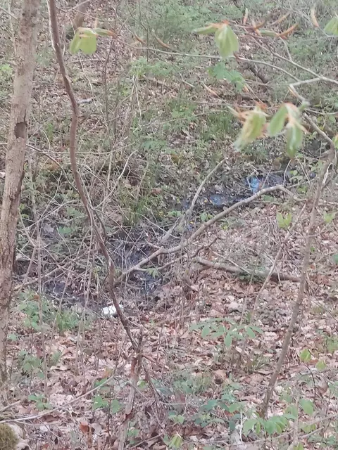 0 Herd Rd, Mckee, KY 40447 photo 3