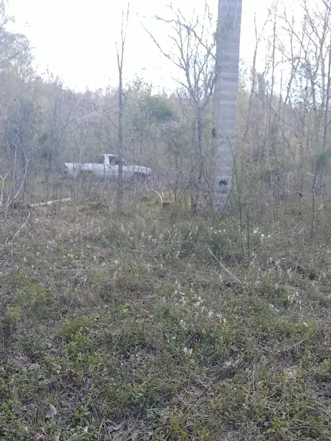 0 Herd Rd, Mckee, KY 40447 photo 7