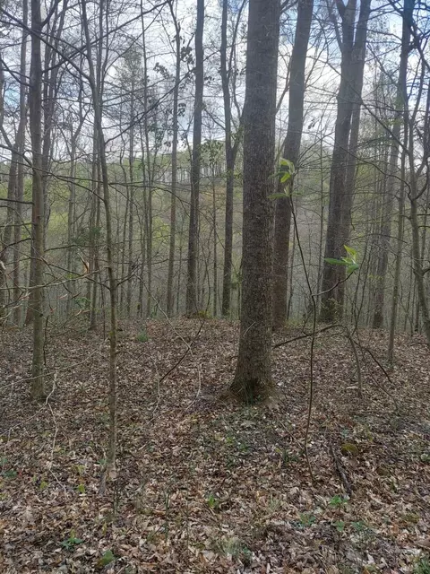 0 Herd Rd, Mckee, KY 40447 photo 5