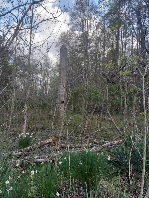 0 Herd Rd, Mckee, KY 40447 photo 2