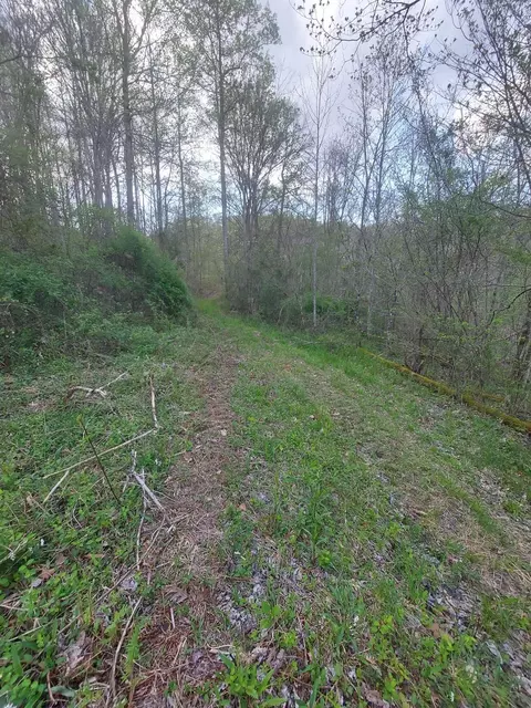 0 Herd Rd, Mckee, KY 40447