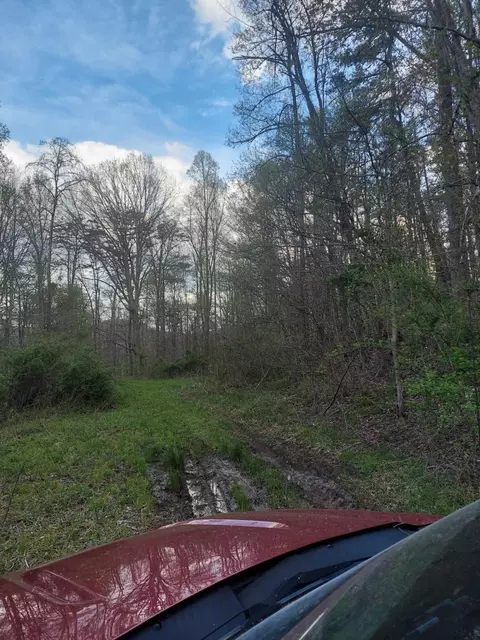 0 Herd Rd, Mckee, KY 40447 photo 8