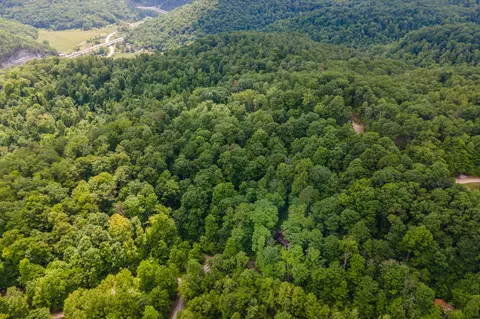 233 Platinum Dr, Slade, KY 40376 photo 25