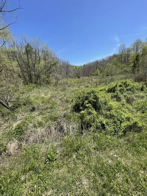 4 Walkers Branch Rd # A, Sand Gap, KY 40481