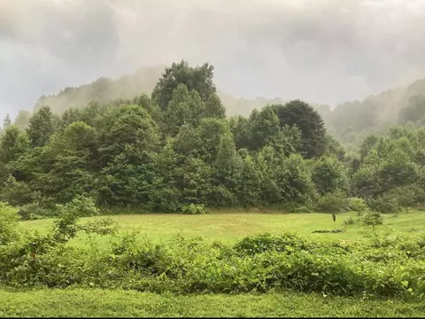 397 Miller Branch Rd, Bimble, KY 40915