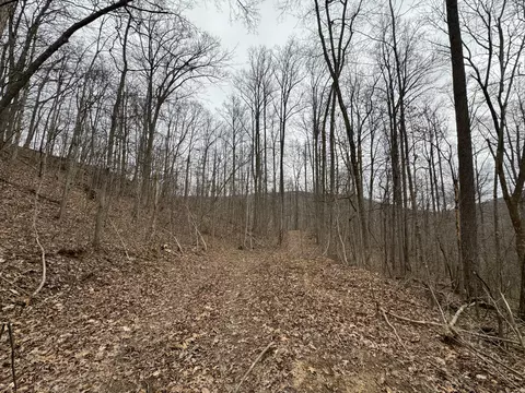0 Hardwood Rd, Wallingford, KY 41093