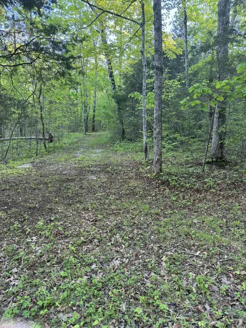 775 Valley View Dr, Burnside, KY 41519 photo 4