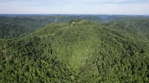 9999 Fields Fork Rd, Viper, KY 41774 photo 12