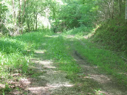 9999 Fields Fork Rd, Viper, KY 41774 photo 2