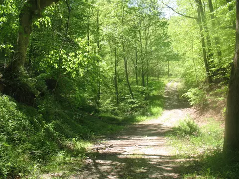 9999 Fields Fork Rd, Viper, KY 41774 photo 5