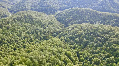 9999 Fields Fork Rd, Viper, KY 41774