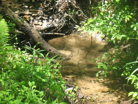 9999 Fields Fork Rd, Viper, KY 41774 photo 8