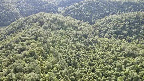 9999 Fields Fork Rd, Viper, KY 41774 photo 15